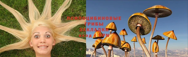 мяу мяу мука Осинники