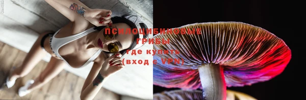 меф Осташков