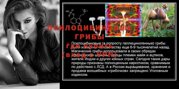 меф Осташков
