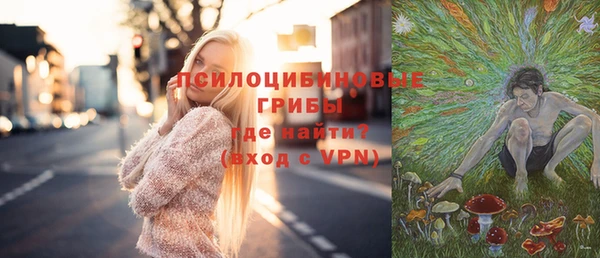 шишки Остров