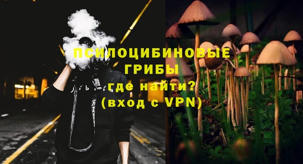 мяу мяу мука Осинники