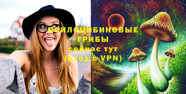 мяу мяу мука Осинники