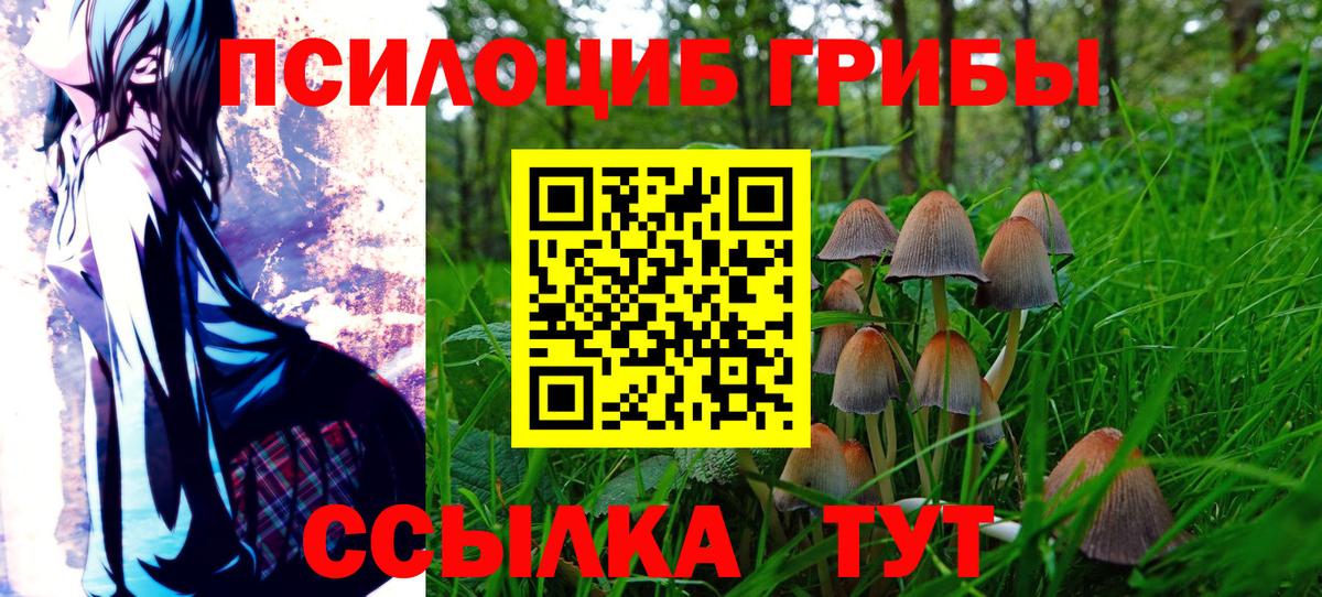 Псилоцибиновые грибы Cubensis Кореновск