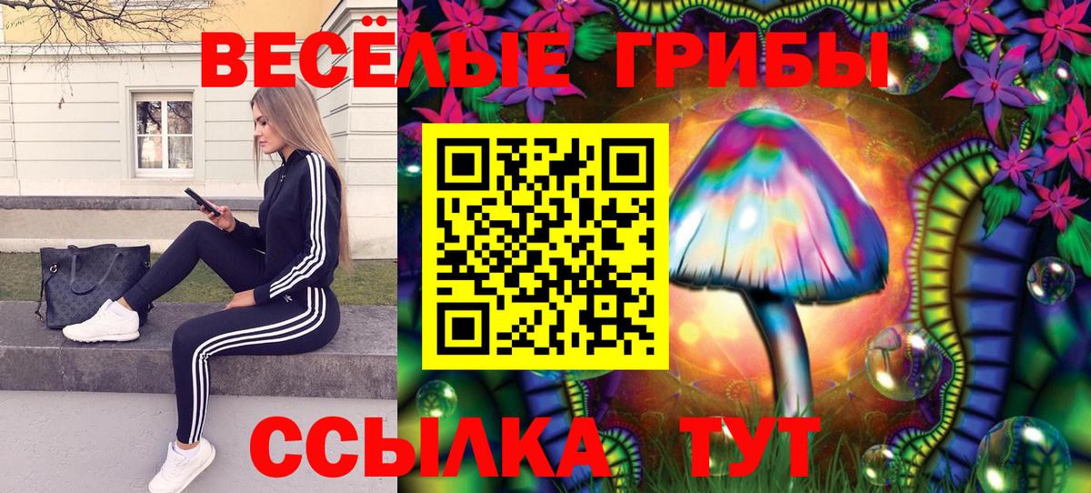 Кореновск  Псилоцибиновые грибы Magic Shrooms  Вход с VPN  Галлюциногенные грибы мухоморы 